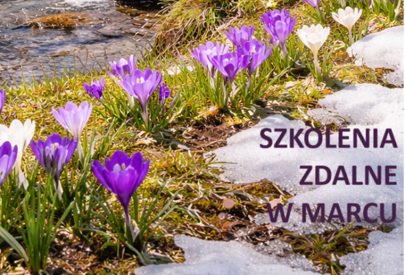 Zapraszamy w marcu na zdalne szkolenia Krajowego Stowarzyszenia Ochrony Informacji Niejawnych